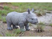 Rhino Baby Statue