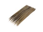 Women 24 Clip in Hair Extensions Heat Resistant Synthetic Brown Blonde Hair