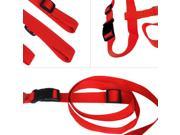Nylon Dog Leash Rope Training Slip Lead Strap Adjustable Traction Collar