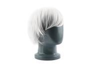 Fashion Short Hair Cosplay Party Costume Straight Wigs Full Wig Fancy Dress