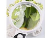 Illuminated 2 LED Lighted Handheld Magnifying Glass Set 2.5X 5X and 16X