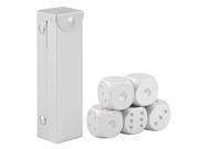 5pcs set Aluminum Alloy Dice Set Metal Case Gift for Party Home Play Games