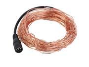 10M 33FT 100LED Copper Wire Xmas Wedding Party String Fairy Light DC 12V