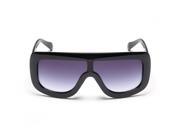 European Fashion Generous Personal Resin Lens Sunglasses UV Protecting