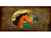 Quarter Horse Photo License Plate Free Personalization on this Plate