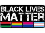 Black Lives Matter Flags Photo License Plate
