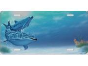 Offset Dolphins Ocean Scene License Plate