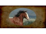 Clydesdale Horse Photo License Plate Free Personalization on this Plate