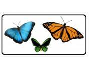Butterflies Photo License Plate