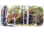 Deer In Forest License Plate