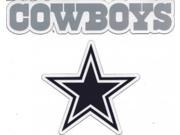 Dallas Cowboys Team Magnet Set