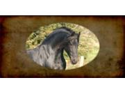 Friesian Horse Photo License Plate Free Personalization on this Plate