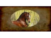 Thoroughbred Horse Photo License Plate Free Personalization on this Plate