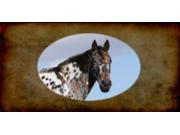 Appaloosa Horse Photo License Plate Free Personalization on this Plate