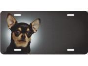 Offset Chihuahua On Grey License Plate