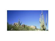 Southwest Desert Scene Photo License Plate Free Personalization on this plate