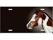 Paint Horse Offset Airbrush License Plate Free Names on Air Brush