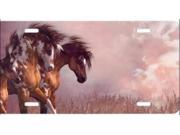 Horses and Clouds Airbrush License Plate Free Names on this Air Brush