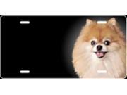 Pomeranian Airbrush License Plate Free Names on this Air Brush