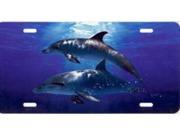 Dolphins in Water Airbrush License Plate Free Personalization on this Air Brush