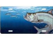 Tarpon Fish License Plate Free Personalization on this Plate