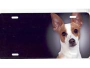 Rat Terrier Airbrush License Plate Free Names on this Air Brush