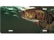 Small Mouth Bass Fish License Plate