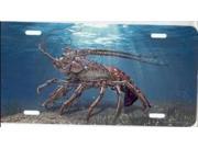 Crab Under Water License Plate