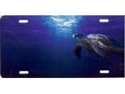 Sea Turtle Offset Airbrush License Plate Free Names on Air Brush