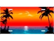 Sunrise Palms Scenic Airbrush License Plate Free Names on this Air Brush