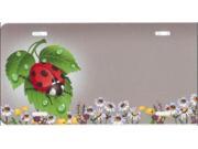 Ladybug Offset Airbrush License Plate Free Personalization on this Air Brush