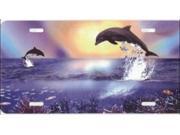 Dolphins Jumping Airbrush License Plate Free Personalization on this Air Brush