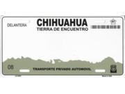 Chihuahua Mexico Look A Like Metal License Plate All wording is Free