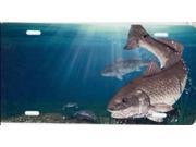 Redfish Fish License Plate Free Personalization on this Plate