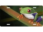 Frog on Branch Airbrush License Plate Free Names on this Air Brush