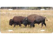 Bison Metal License Plate Free Personalization on this Plate