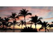 Palm Trees At Sunset Photo license Plate Free Personalization on this Plate