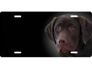 Chocolate Lab Airbrush License Plate Free Names on this Air Brush