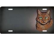 Orange Tabby Cat License Plate Free Personalization on this plate