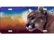 Cougar Full Color License Plate Free Personalization on this Plate