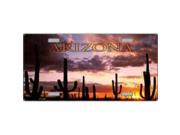 Arizona Sunset with Cactus License Plate