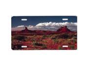 Southwest United States Red Rocks License Plate