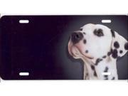 Dalmatian Airbrush License Plate Free Personalization on this Air Brush