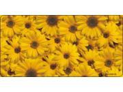 Sunflowers Photo License Plate Free Personalization on this Plate