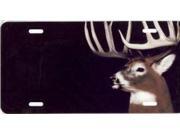 Buck on Black Offset Airbrush License Plate Free Names on Air Brush