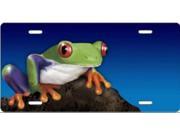 Frog on Blue Airbrush License Plate Free Names on this Air Brush