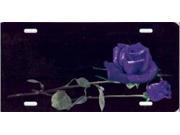 Purple Roses on Black Airbrush License Plate Free Names on this Air Brush