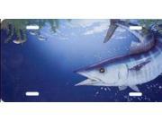 Wahoo Fish License Plate Free Personalization on this plate