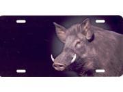 Boar on Black Airbrush License Plate Free Personalization on this Air Brush