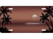 Sand Colored Palm Tree Scenic License Plate Free Names on this Plate